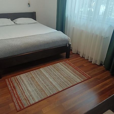 Pension Casa Contelui Rîşnov エクステリア 写真
