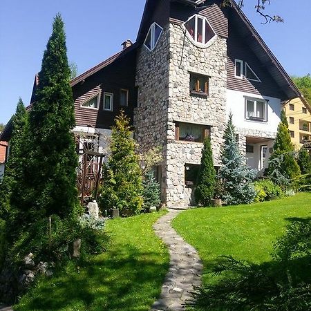 Pension Casa Contelui Rîşnov エクステリア 写真