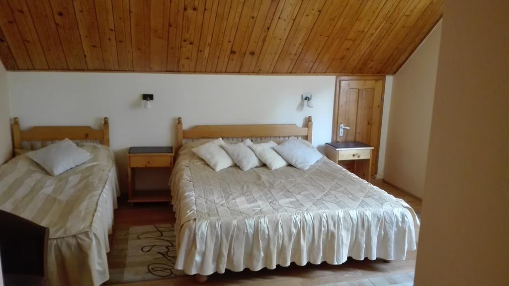 Pension Casa Contelui Rîşnov エクステリア 写真
