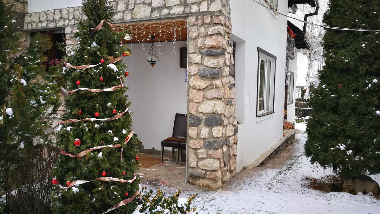Pension Casa Contelui Rîşnov エクステリア 写真