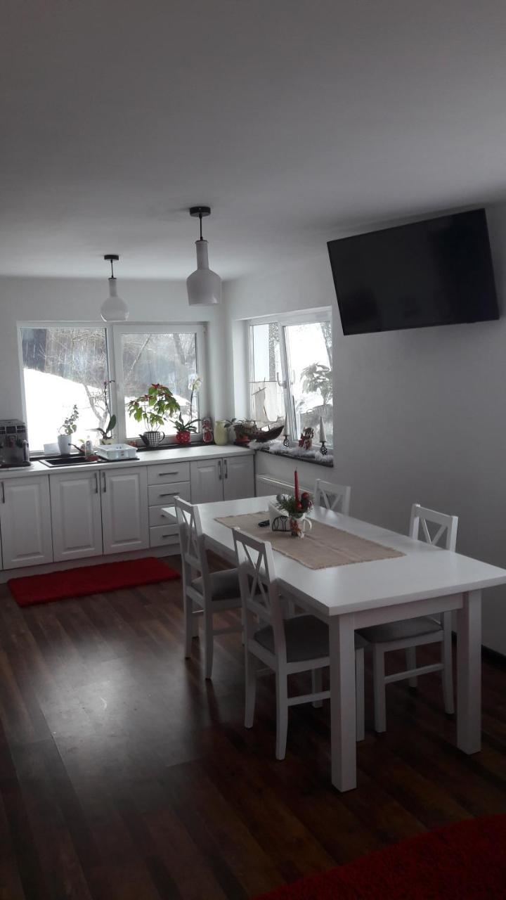 Pension Casa Contelui Rîşnov エクステリア 写真